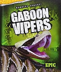 Gaboon vipers for sale  Delivered anywhere in UK