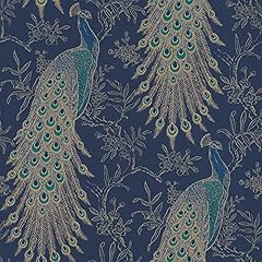 Rasch portfolio peacock for sale  Delivered anywhere in UK