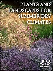 Plants landscapes summer for sale  Delivered anywhere in USA 