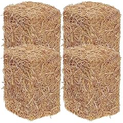 Nuobesty mini hay for sale  Delivered anywhere in USA 