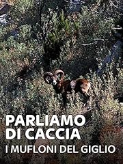 Parliamo caccia mufloni usato  Spedito ovunque in Italia 