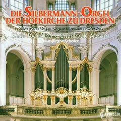 Silbermann rgel hofkirche gebraucht kaufen  Wird an jeden Ort in Deutschland