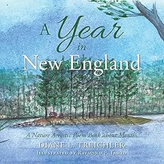 Year new england d'occasion  Livré partout en France
