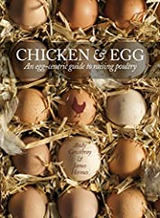 Chicken egg egg for sale  Delivered anywhere in UK