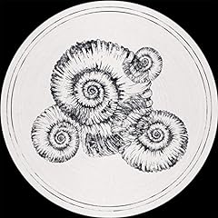 Perisphinctes tiziani remixes for sale  Delivered anywhere in UK