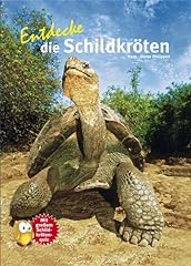 Entdecke schildkröten großem gebraucht kaufen  Wird an jeden Ort in Deutschland