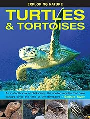 Turtles tortoises depth d'occasion  Livré partout en France