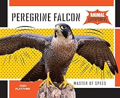 Peregrine falcon master for sale  Delivered anywhere in USA 
