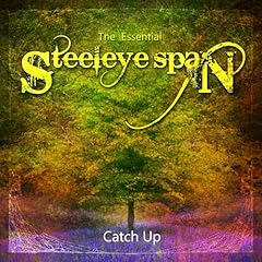 Catch essential steeleye for sale  Delivered anywhere in UK