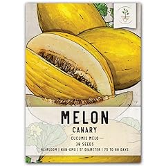 Seed needs canary for sale  Delivered anywhere in USA 