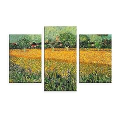Alonline art irises for sale  Delivered anywhere in USA 