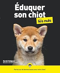 chiot pointer d'occasion chiot pointer d'occasion Livré partout en France