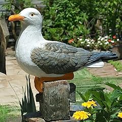Euiroet real seagull for sale  Delivered anywhere in USA 