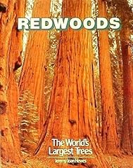 Redwoods largest trees for sale  Delivered anywhere in USA 