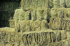 small hay bales for sale  Delivered anywhere in UK