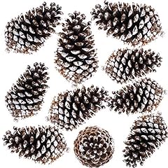 Supla pcs natural for sale  Delivered anywhere in USA 