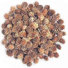 Mini pine cones for sale  Delivered anywhere in UK