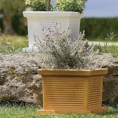 Decorspace vaso quadro usato  Spedito ovunque in Italia 