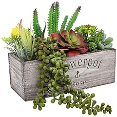 Hopewood artificial succulent for sale  Delivered anywhere in USA 