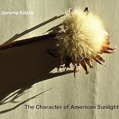 Character american sunlight for sale  Delivered anywhere in USA 