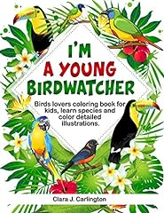 Young birdwatcher birds for sale  Delivered anywhere in USA 