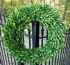 Preserved boxwood garden for sale  Delivered anywhere in USA 