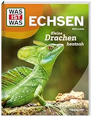 Echsen kleine drachen gebraucht kaufen  Wird an jeden Ort in Deutschland