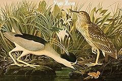 Chromolithograph julius bien for sale  Delivered anywhere in USA 