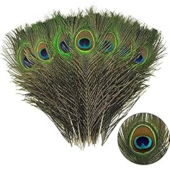 15pcs peacock feathers for sale  Delivered anywhere in UK