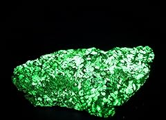 1.5lb bright green for sale  Delivered anywhere in USA 