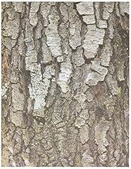Roylco terrific tree for sale  Delivered anywhere in USA 