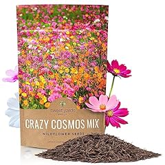 Sweet yards cosmos for sale  Delivered anywhere in USA 