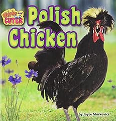 Polish chicken for sale  Delivered anywhere in UK