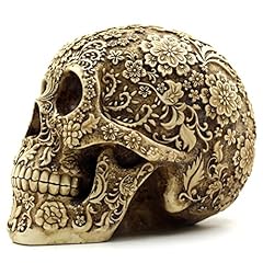 Oulii cranio umano usato  Spedito ovunque in Italia 