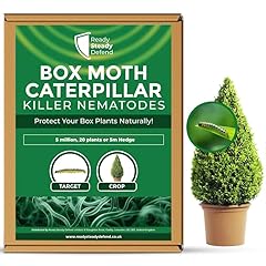 Box moth caterpillar for sale  Delivered anywhere in UK