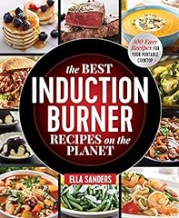 Best induction burner for sale  Delivered anywhere in USA 