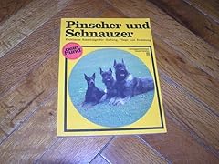 Pinscher und schnauzer d'occasion  Livré partout en France