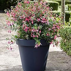 Large Flower Pot Planter Round Garden Plant Pot Indoor for sale  Delivered anywhere in UK