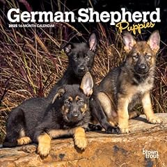 German shepherd puppies for sale  Delivered anywhere in USA 