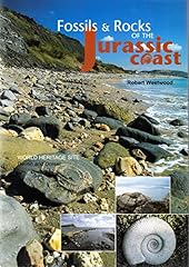 Fossils rocks jurassic for sale  Delivered anywhere in UK