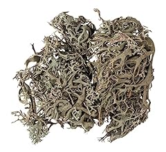 Rayher lichen naturel d'occasion  Livré partout en France