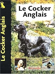 Cocker anglais d'occasion  Livré partout en Belgiqu