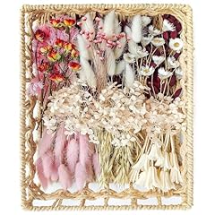 Diy natural dried for sale  Delivered anywhere in USA 