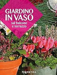 Giardino vaso sul usato  Spedito ovunque in Italia 