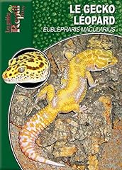 Gecko léopard eublepharis d'occasion  Livré partout en France
