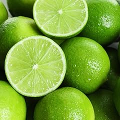 Persian lime tree for sale  Delivered anywhere in USA 