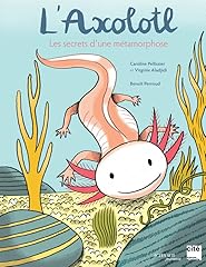 Axolotl secrets métamorphose d'occasion  Livré partout en France
