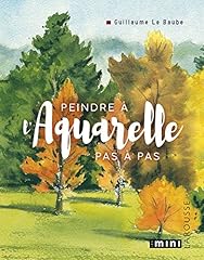 Peindre aquarelle d'occasion  Livré partout en France