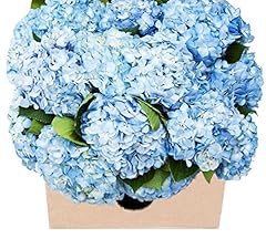 Kabloom flowers mother for sale  Delivered anywhere in USA 