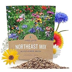 Northeast wildflower seeds for sale  Delivered anywhere in USA 